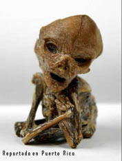 Parecida criatura de extraterrestre en México y Puerto Rico