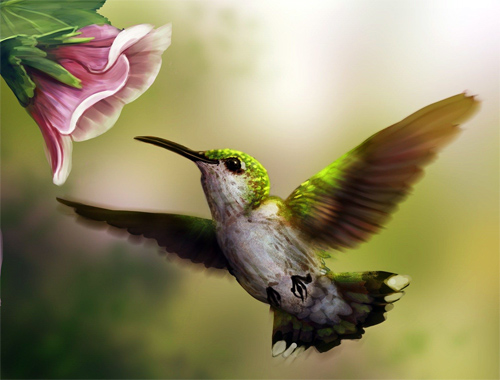 Leyenda del Colibrí Enamorado