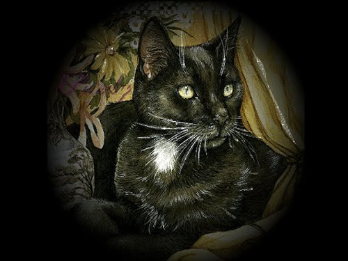 Leyenda del hueso del gato negro