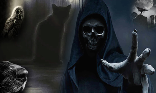 Animales que predicen la muerte