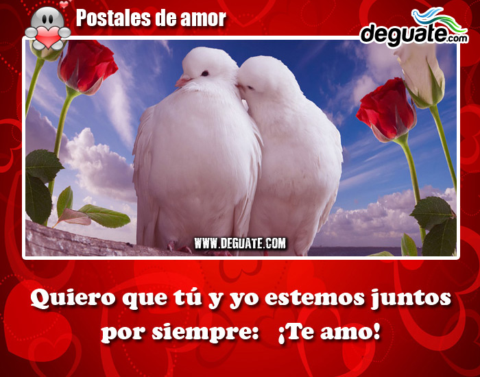0009-Amor-juntos-siempre.jpg