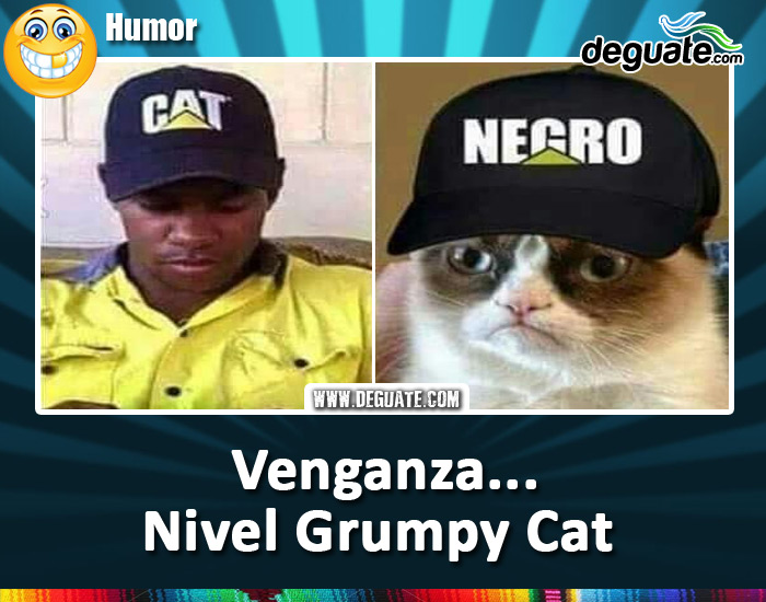 007-grumpycat-negro.jpg