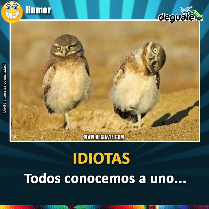 030-idiotas-todos-conocemos.jpg