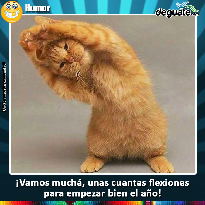 077-flexiones-semana.jpg