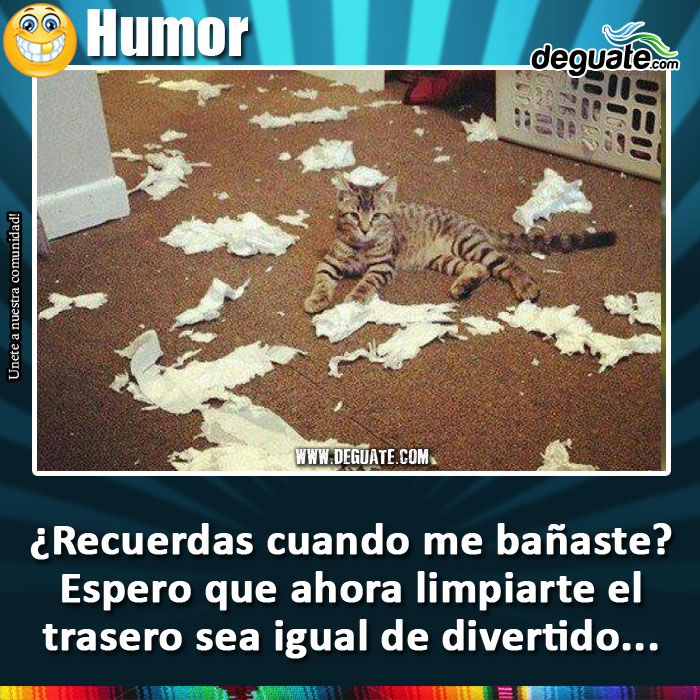 081-gato-limpiar-trasero.jpg