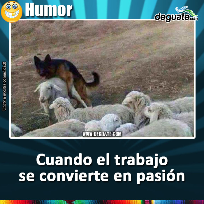 089-trabajo-pasion.jpg