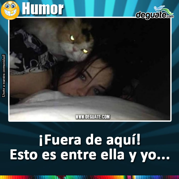 111-gato-entre-ella-y-yo.jpg