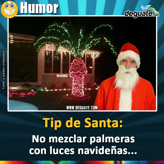 120-palmera-luces-navidad.jpg