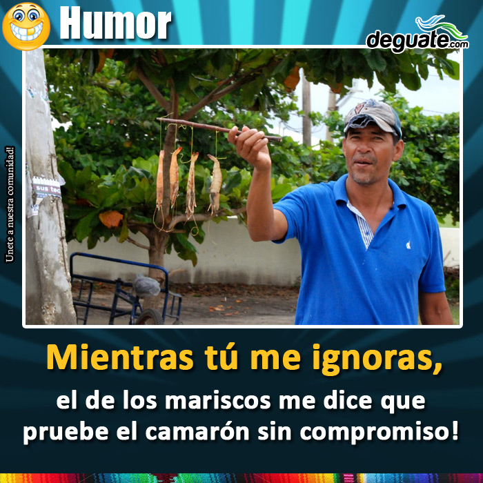 162-ignoras-camaron.jpg
