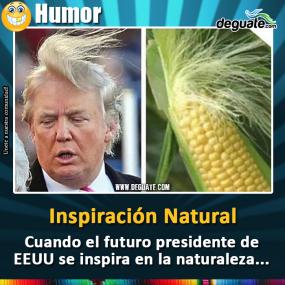 Click para agrandar