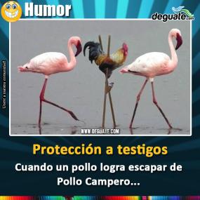 Click para agrandar