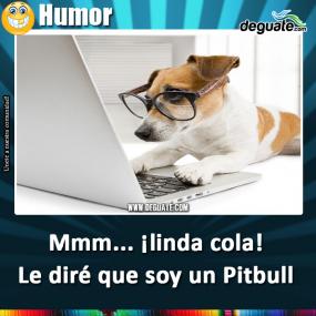 Click para agrandar
