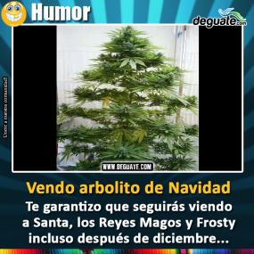 Click para agrandar