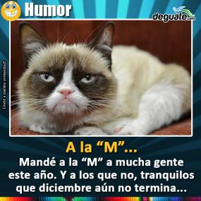 Click para agrandar