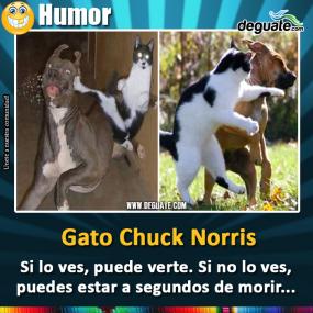 Click para agrandar