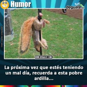 Click para agrandar