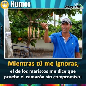 Click para agrandar