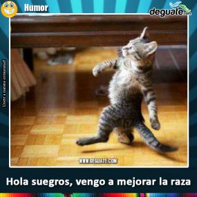 Click para agrandar