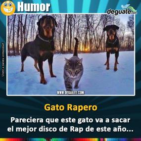 Click para agrandar