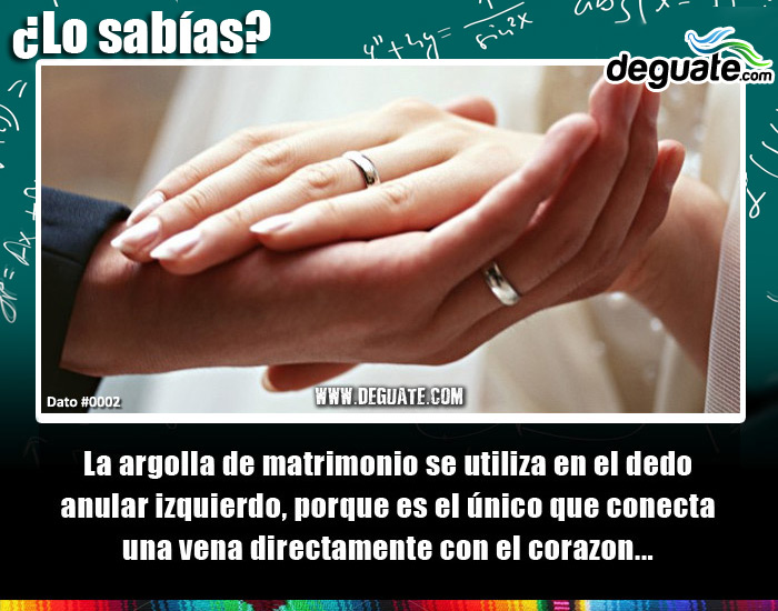 0002-argollamatriminiomanoizquierda.jpg