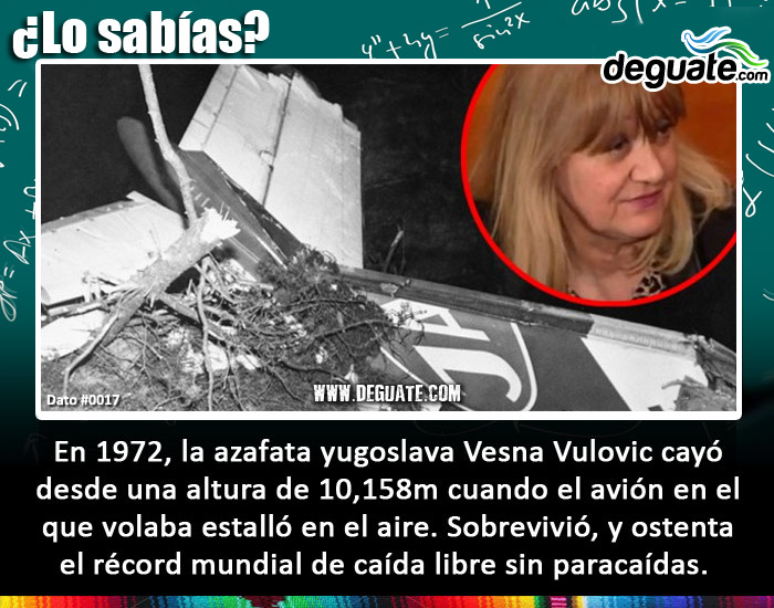 0017-vesnavuloviccaidalibre.jpg