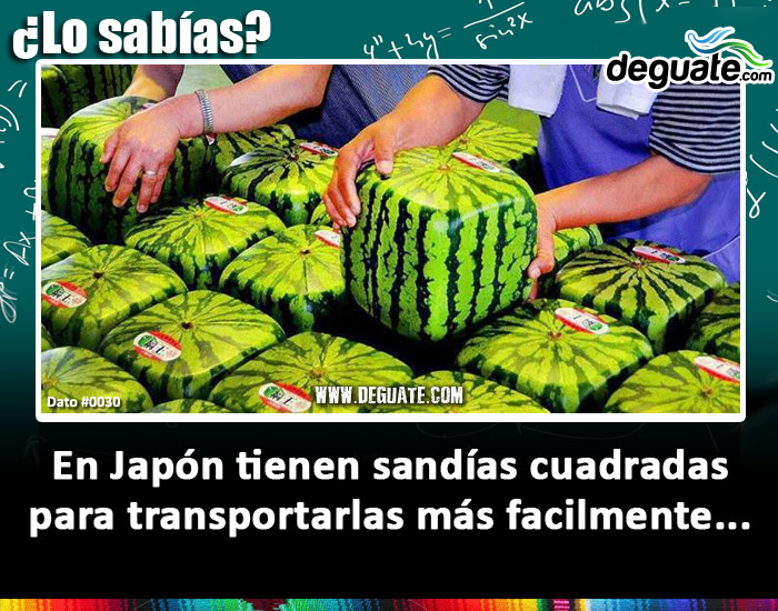 0030-sandiascuadradas.jpg