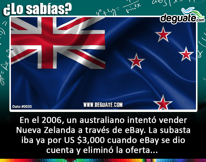 0035-ventanuevazelandia.jpg
