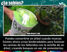 Click para agrandar