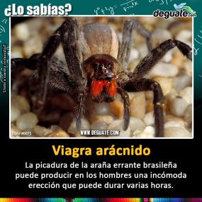 Click para agrandar