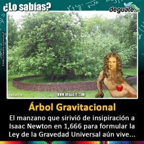 Click para agrandar