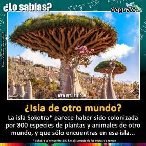 Click para agrandar