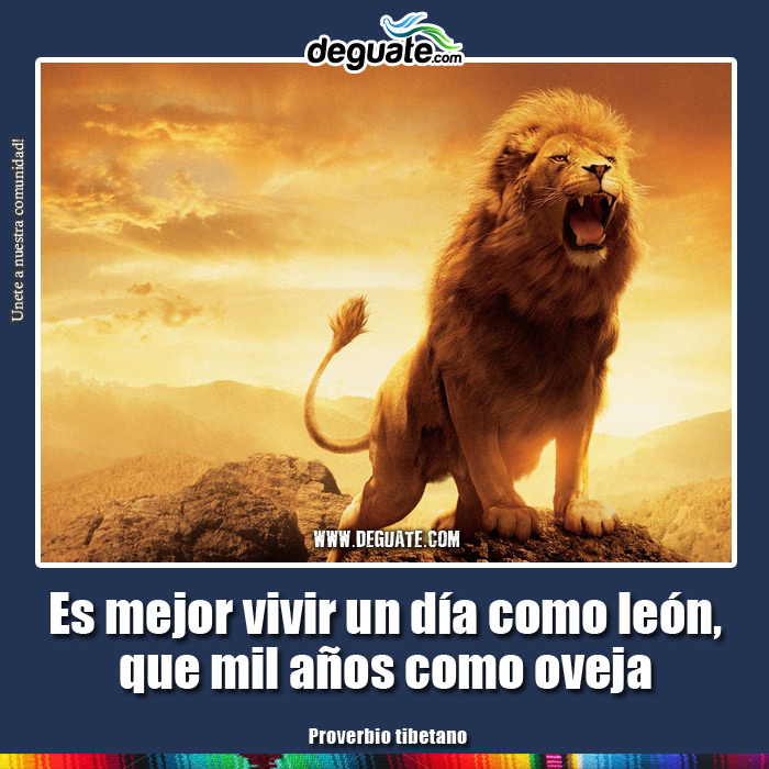 0020-mejorcomoleon1dia.jpg