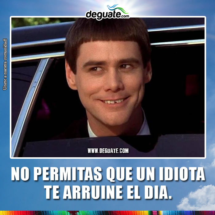 0087-idiota-no-arruine-dia.jpg