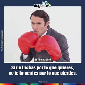 Click para agrandar