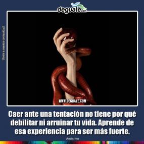 Click para agrandar