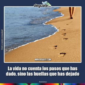 Click para agrandar