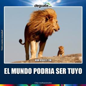 Click para agrandar