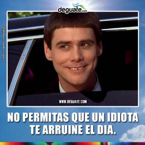 Click para agrandar