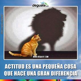 Click para agrandar