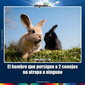 Click para agrandar