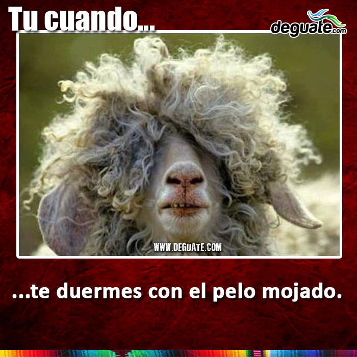 002-duermes-pelo-mojado.jpg