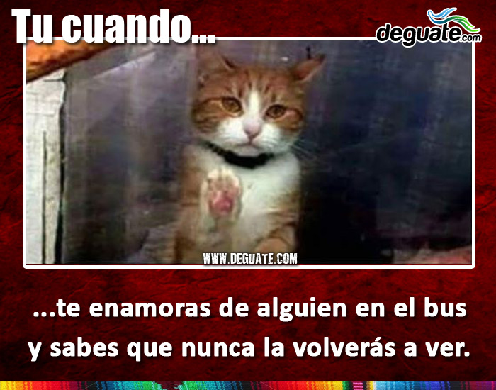 003-enamoras-camioneta.jpg