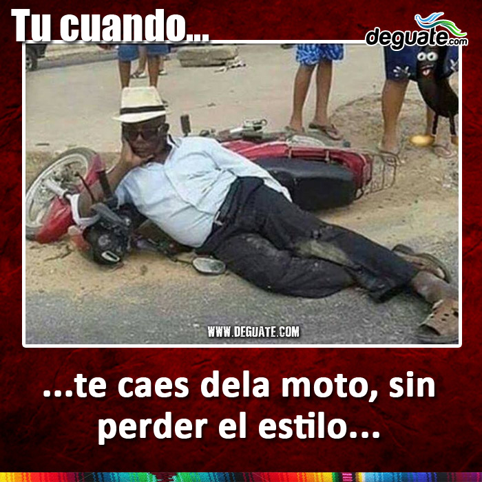 024-caes-moto-estilo.jpg