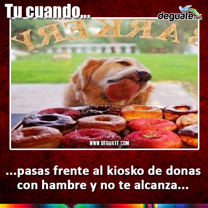 030-donas-hambre.jpg
