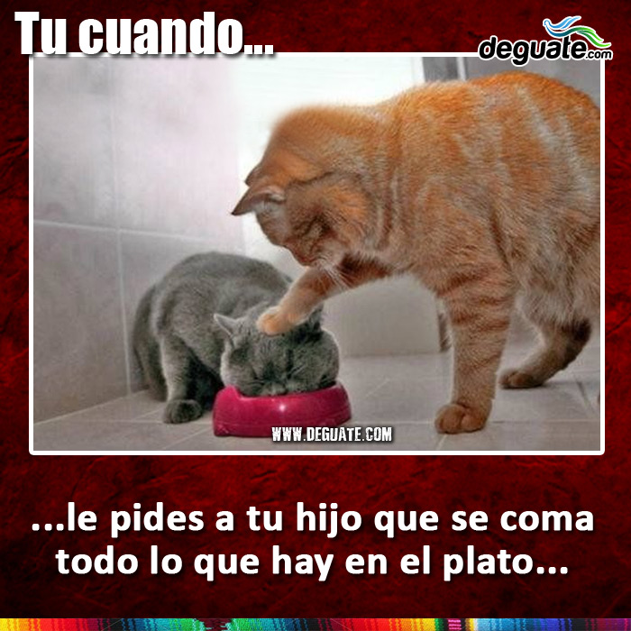 039-COMER-TODO-PLATO.jpg