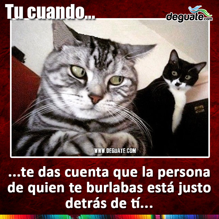 055-burlabas-detras-de-ti.jpg
