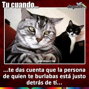 Click para agrandar